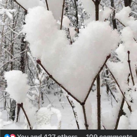 Meet your Posher, Jo - Picture 2 of 3